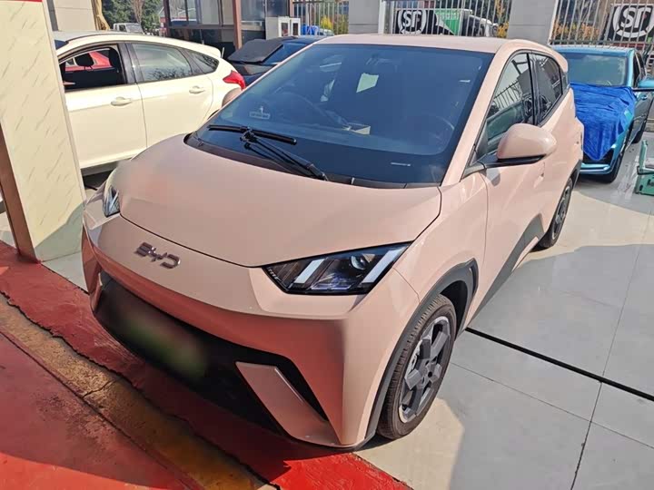 Фото 2 - BYD Seagull