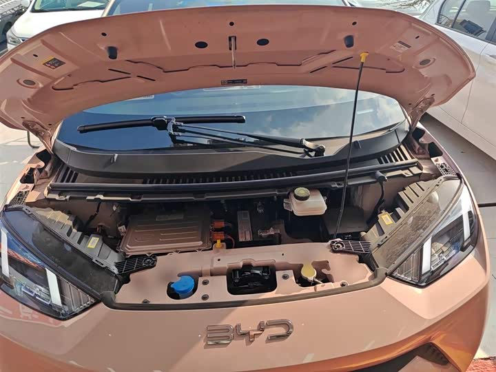 Фото 20 - BYD Seagull