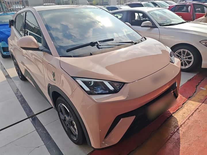 Фото 4 - BYD Seagull