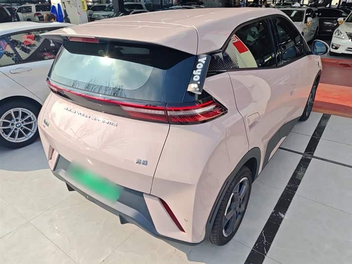 Фото 7 - BYD Seagull