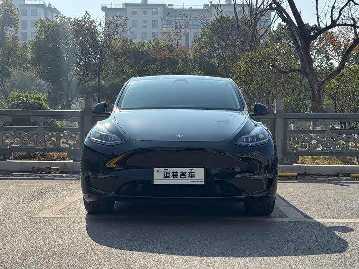 Фото 2 - Tesla Model Y