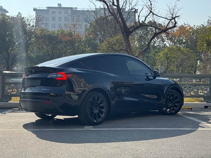 Фото 4 - Tesla Model Y