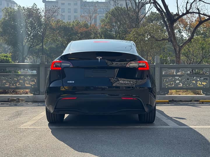 Фото 5 - Tesla Model Y