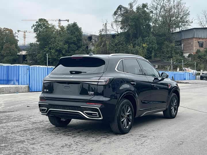 Фото 6 - Hongqi HS5