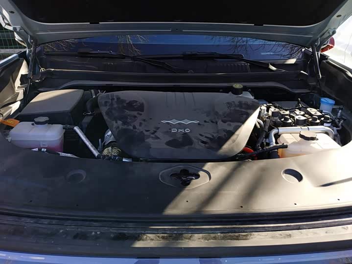 Фото 10 - BYD FangChengBao Leopard 8