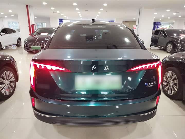 Фото 6 - Hongqi E-QM5