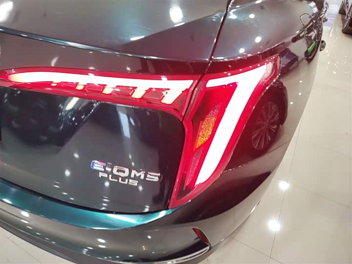 Фото 8 - Hongqi E-QM5