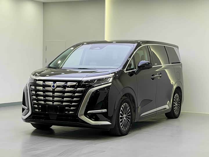 Фото 1 - Denza D9