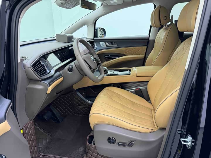 Фото 10 - Denza D9