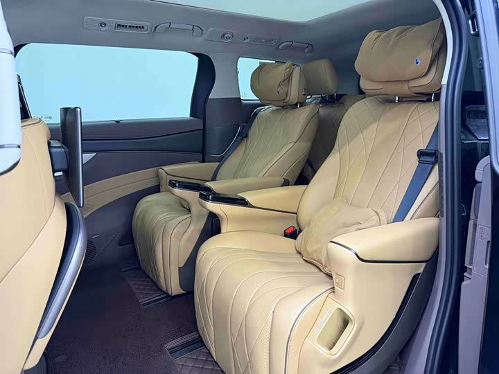 Фото 12 - Denza D9