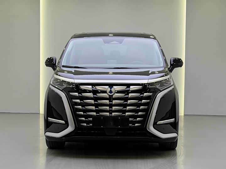 Фото 2 - Denza D9