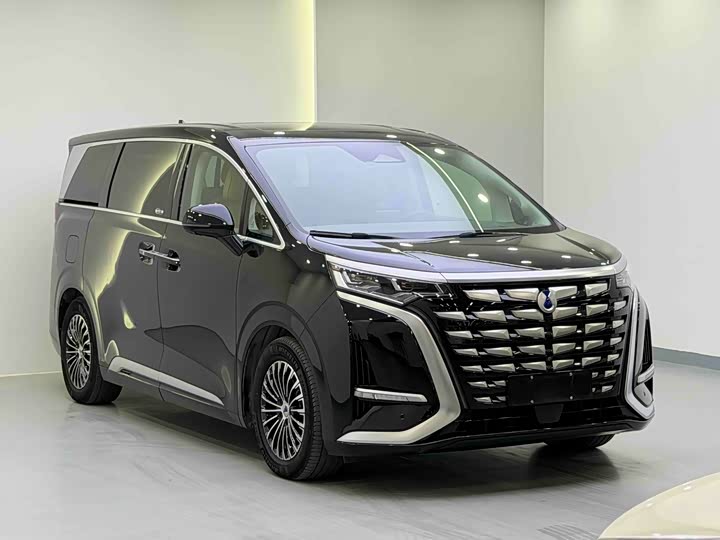 Фото 3 - Denza D9