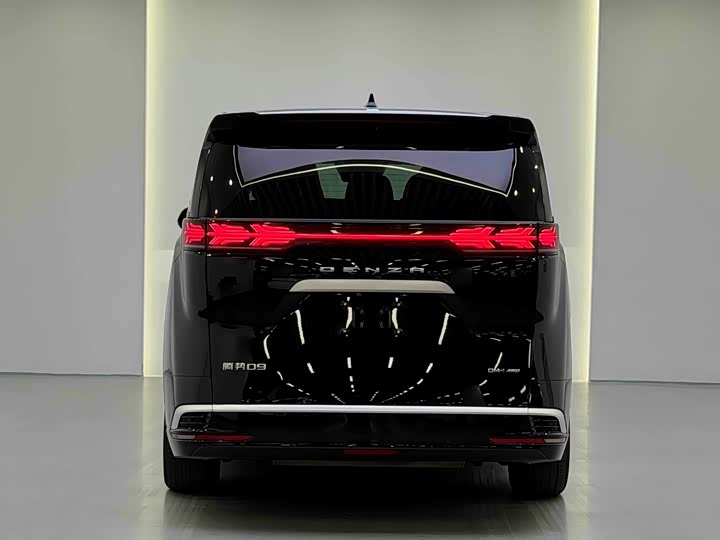 Фото 5 - Denza D9