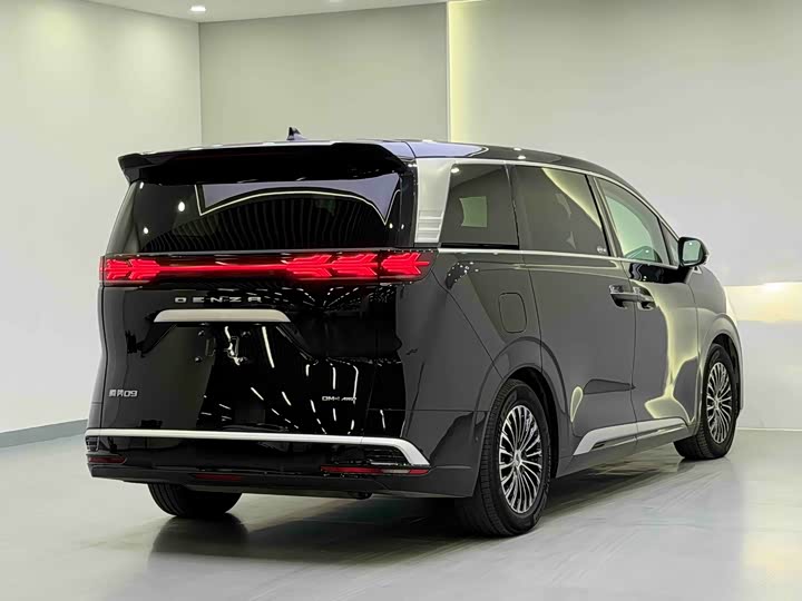 Фото 6 - Denza D9