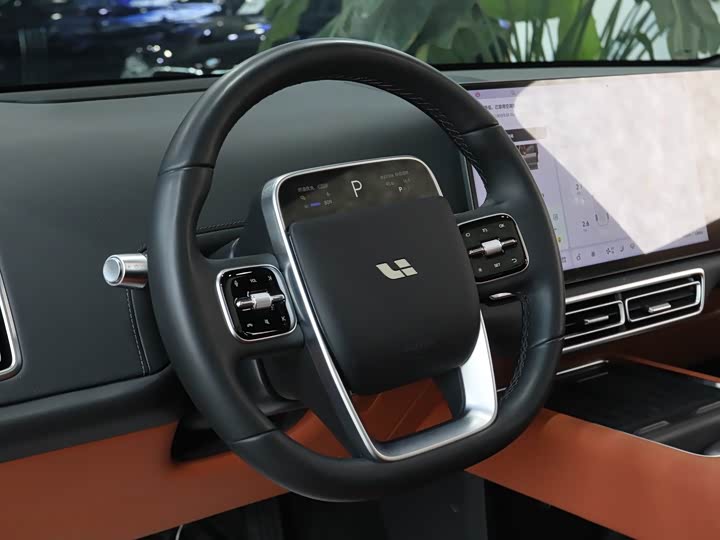 Фото 8 - LiXiang L6