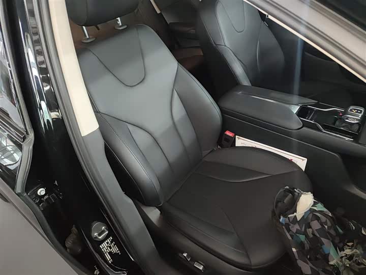 Фото 25 - Hongqi E-QM5