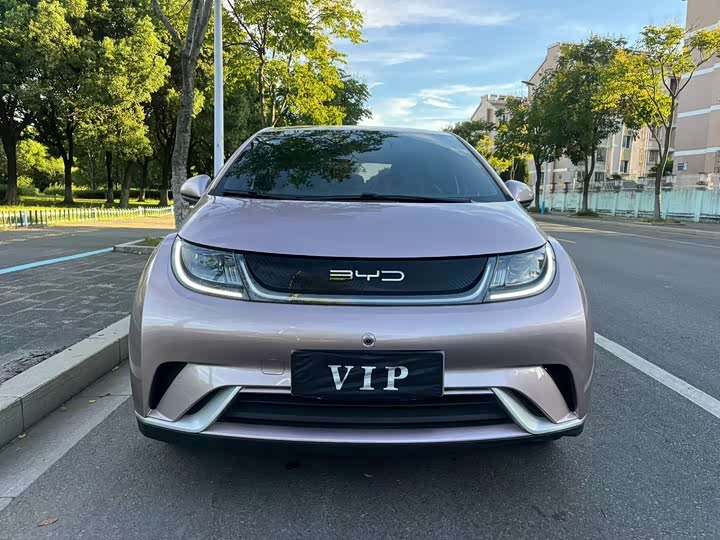 Фото 1 - BYD Dolphin