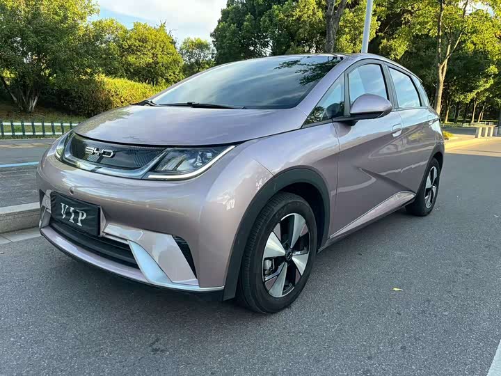 Фото 2 - BYD Dolphin