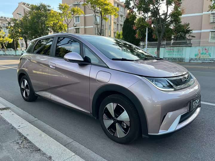 Фото 3 - BYD Dolphin