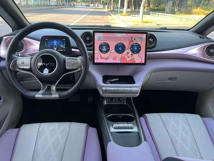 Фото 4 - BYD Dolphin