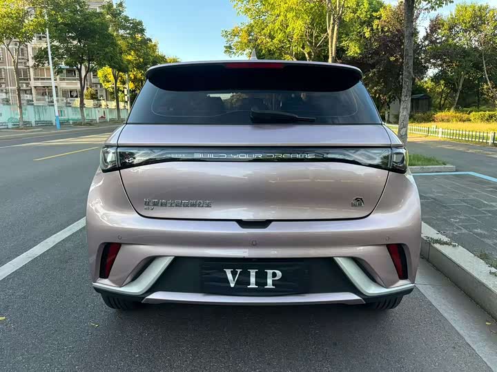 Фото 8 - BYD Dolphin