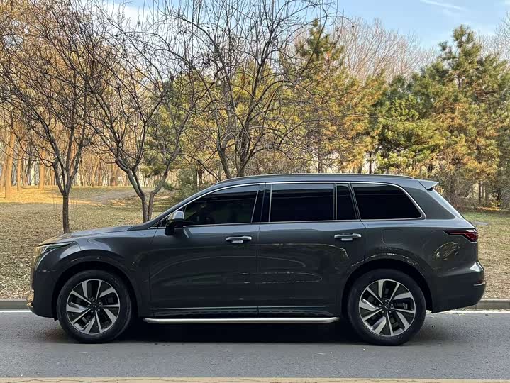 Фото 3 - LiXiang One