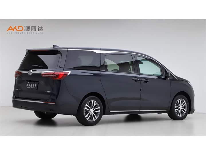 Фото 3 - Buick GL8 ES