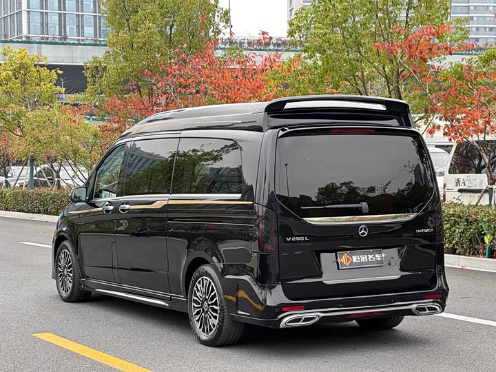 Фото 4 - Mercedes-Benz V-Class