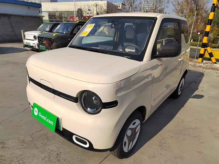 Фото 1 - Geely Galaxy Panda Mini