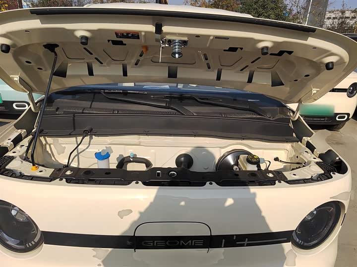 Фото 20 - Geely Galaxy Panda Mini