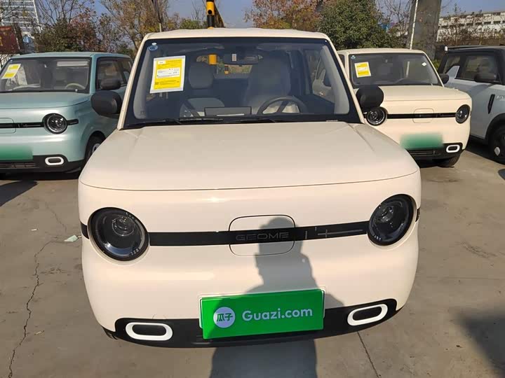 Фото 3 - Geely Galaxy Panda Mini