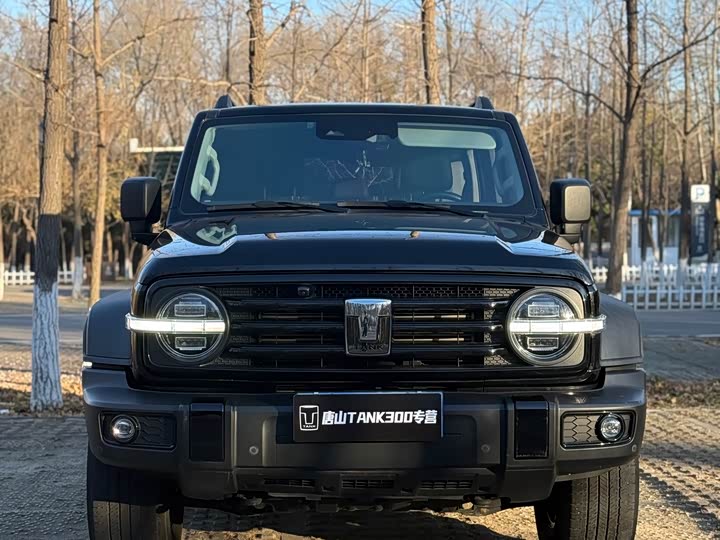 Фото 1 - Tank 300