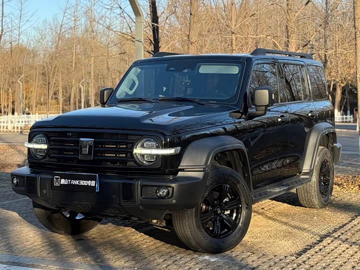 Фото 2 - Tank 300