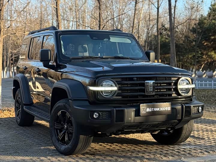 Фото 3 - Tank 300