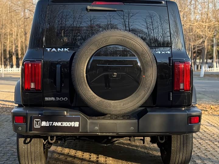 Фото 6 - Tank 300