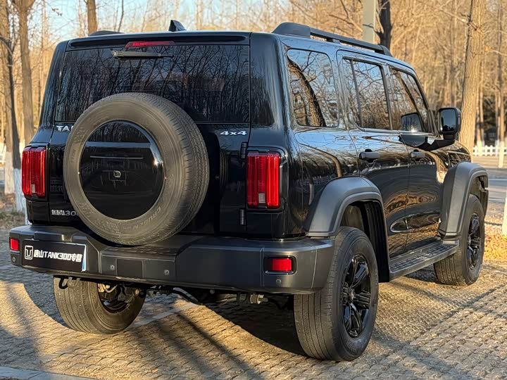 Фото 7 - Tank 300