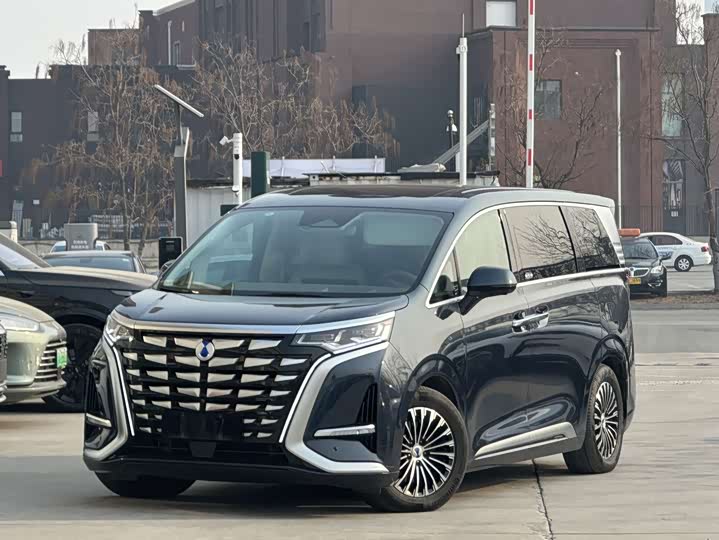 Фото 1 - Denza D9