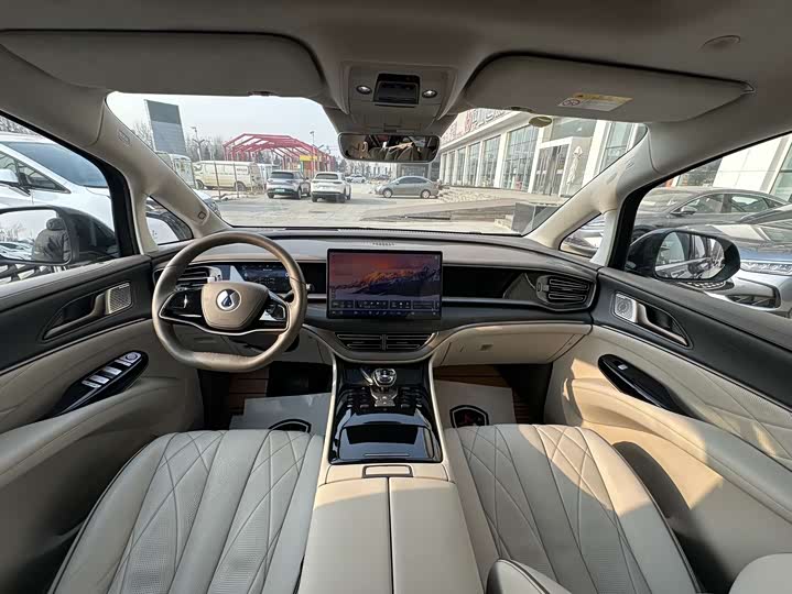 Фото 10 - Denza D9