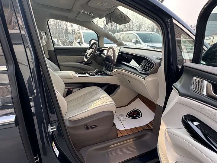 Фото 13 - Denza D9