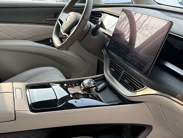 Фото 15 - Denza D9