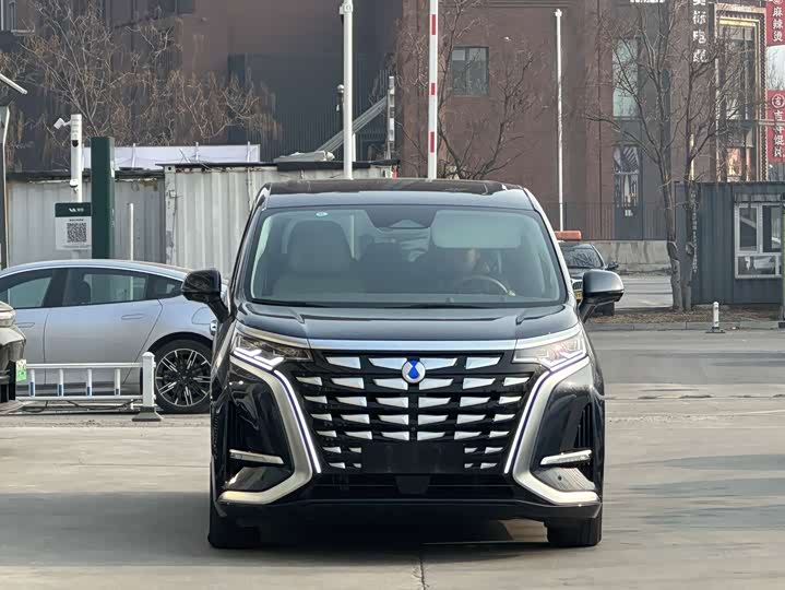 Фото 2 - Denza D9