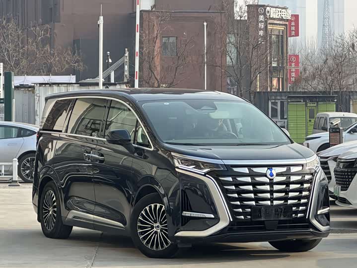 Фото 3 - Denza D9