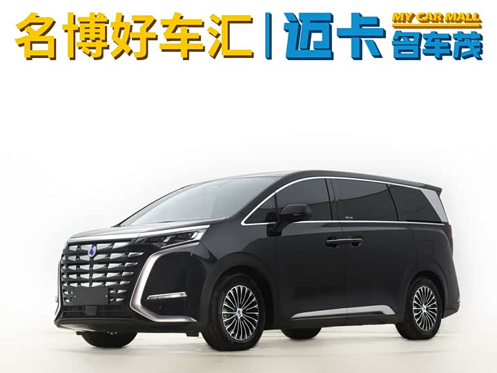 Фото 1 - Denza D9