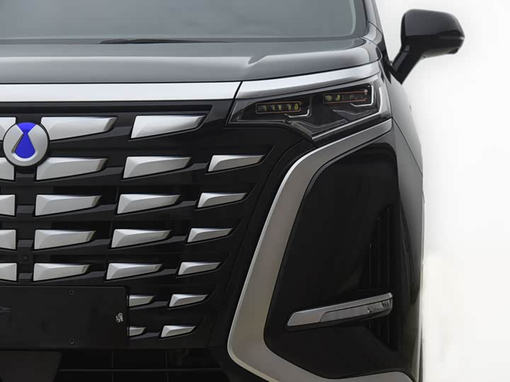 Фото 11 - Denza D9