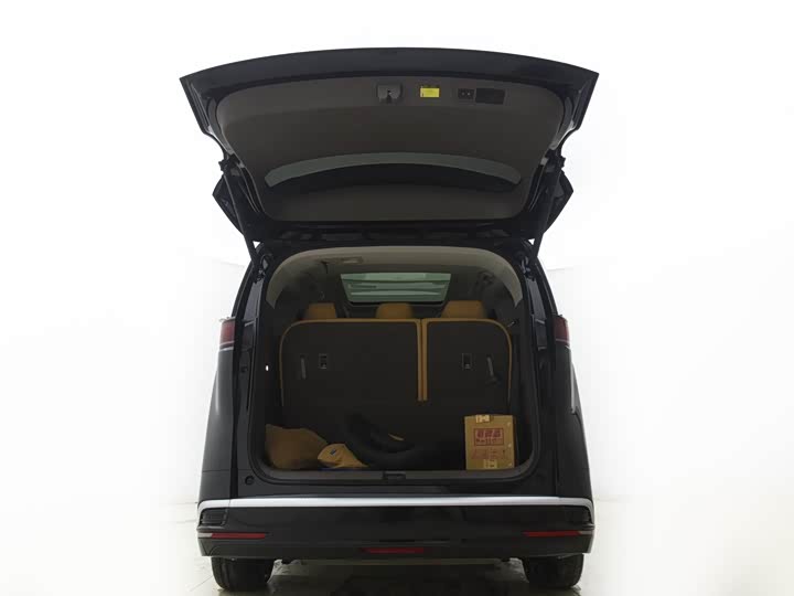 Фото 12 - Denza D9