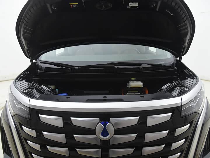 Фото 14 - Denza D9