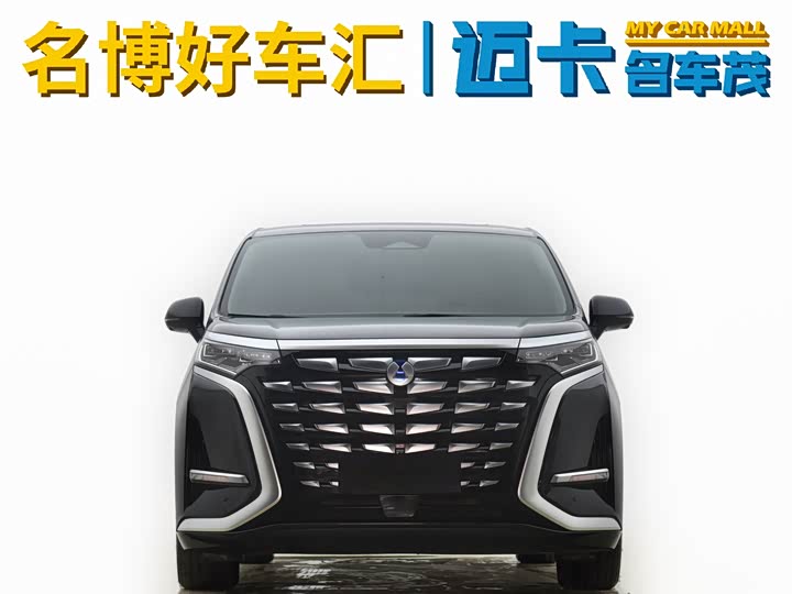 Фото 2 - Denza D9