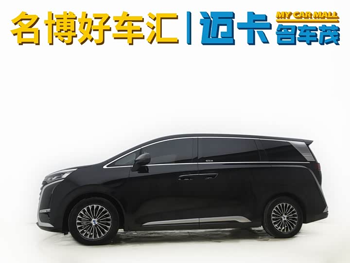 Фото 4 - Denza D9