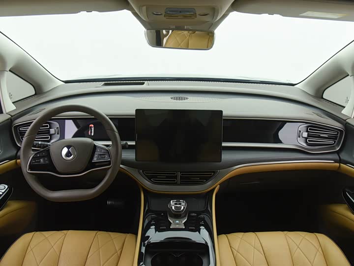 Фото 6 - Denza D9