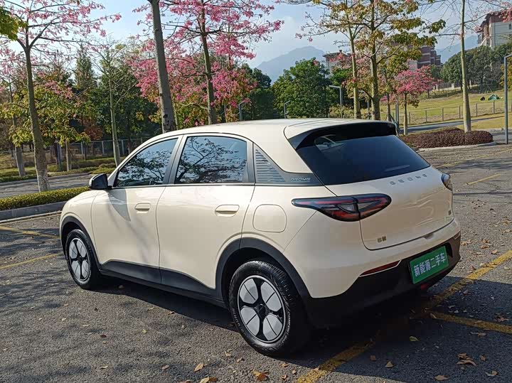 Фото 10 - Geely Galaxy Geome